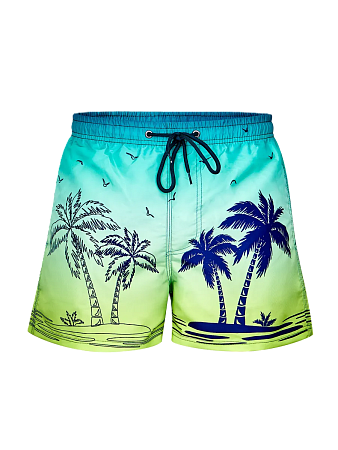 Шорты Findroad MN пляжные (W5528)